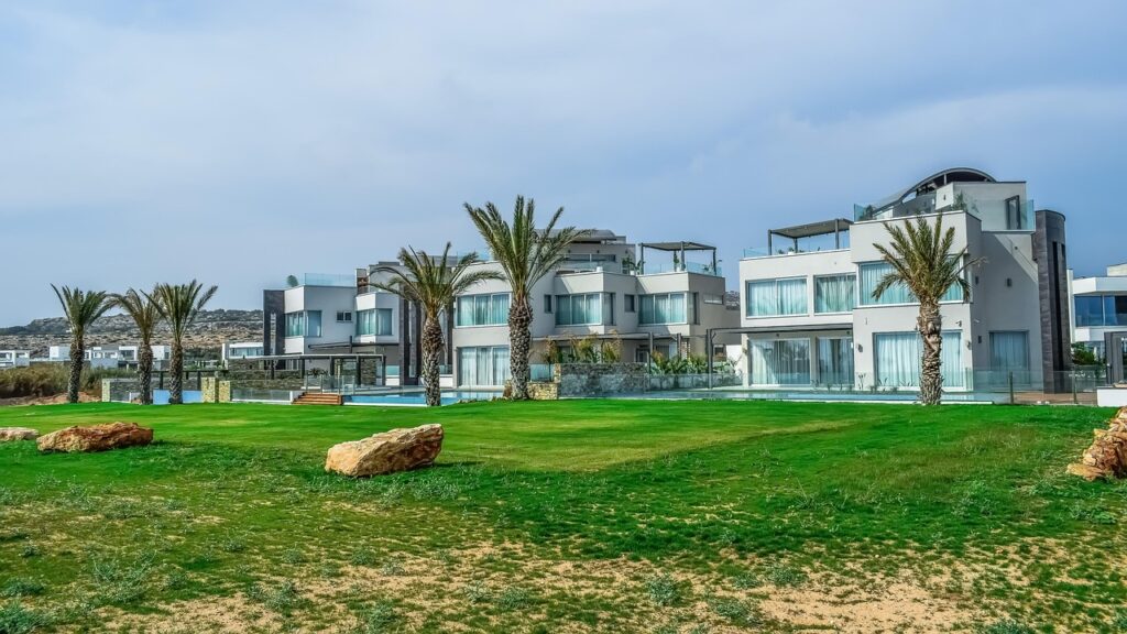villa, palm trees, nature, architecture, grass, modern, building, blue grass