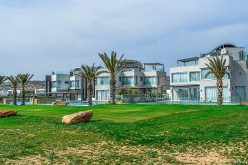 villa, palm trees, nature, architecture, grass, modern, building, blue grass