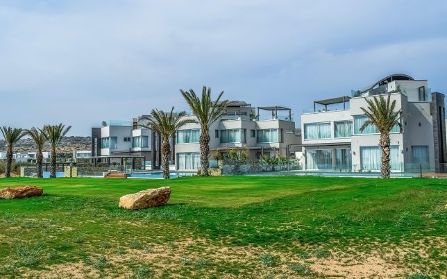 villa, palm trees, nature, architecture, grass, modern, building, blue grass